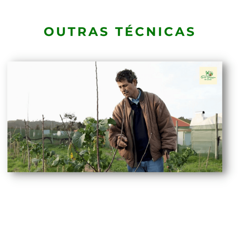 Formador a explicar outras técnicas de poda
