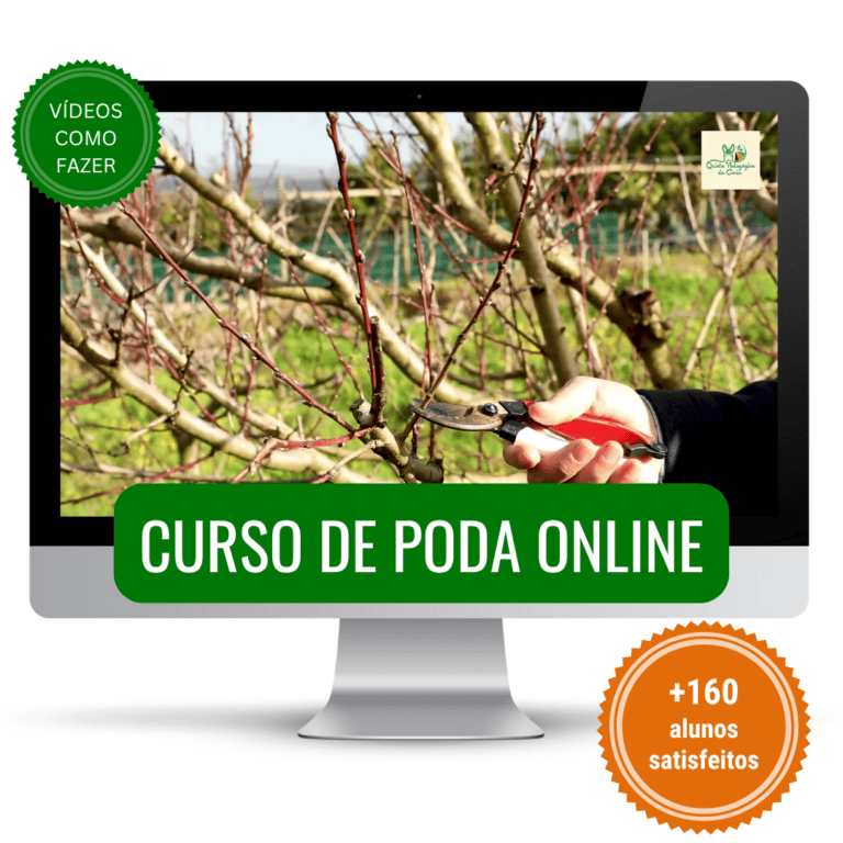 Curso de Poda Online da Quinta da Caria