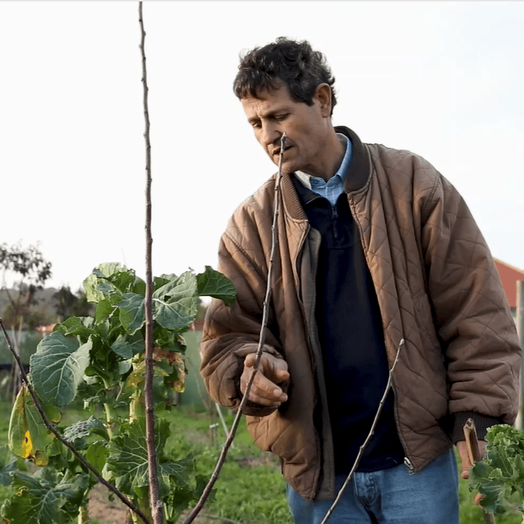 José Carlos Ferreira, formador dos cursos de poda da Quinta da Caria